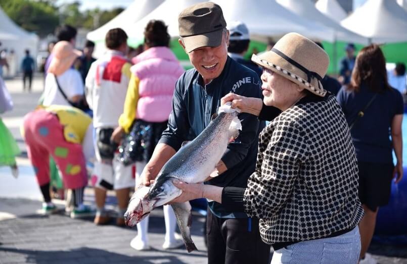2025 홍성남당항 바다송어 요리대회 & 수산물 축제 가이드