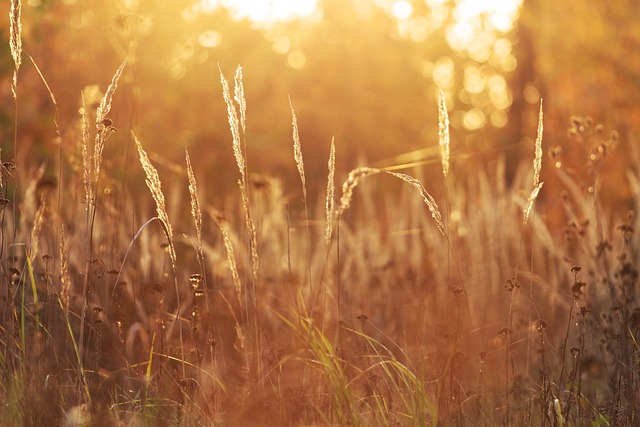 시럽 타임어택 퀴즈 정답, 시럽정답, 야금야금퀴즈