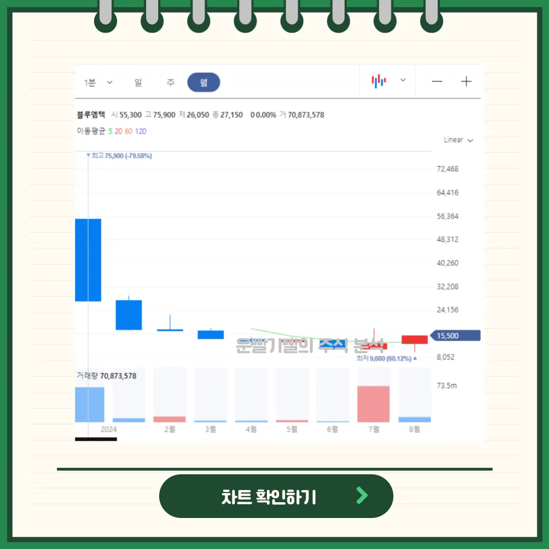블루엠텍 차트분석