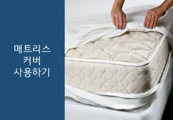 매트리스 관리 청소기 베이킹소다 회전주기 방수커버 팁_19