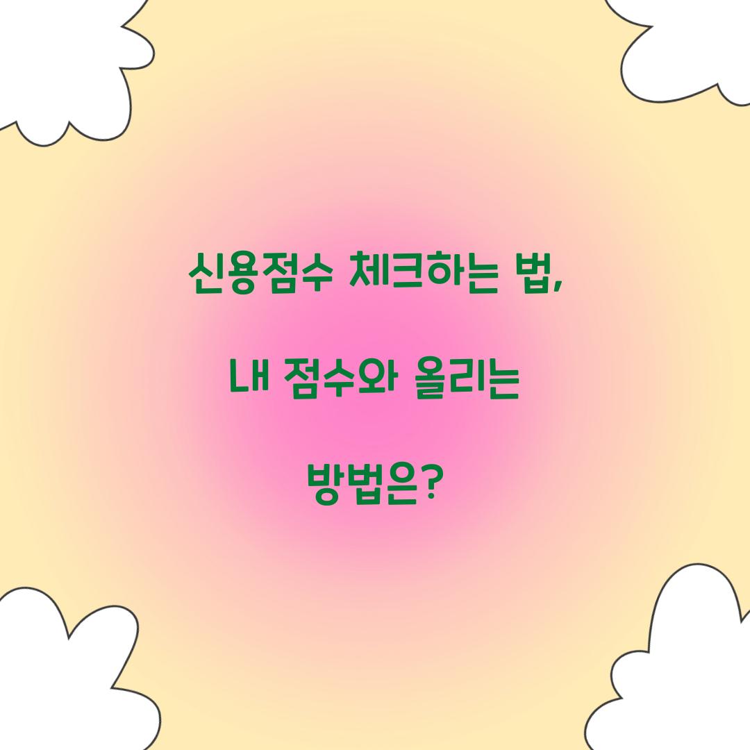 신용점수 체크