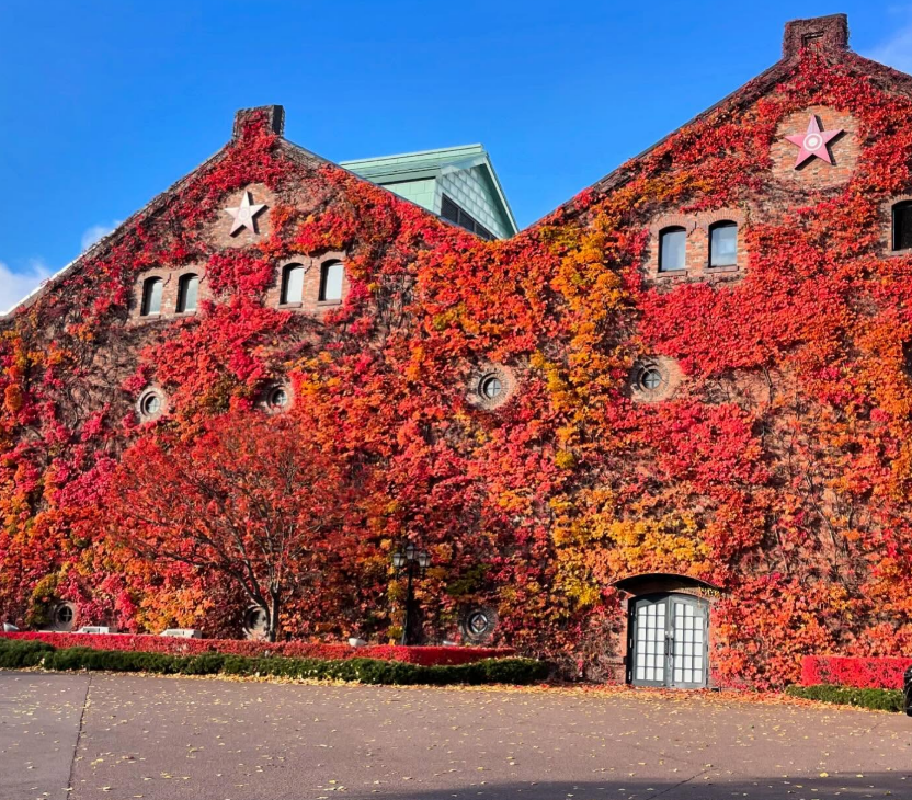 삿포로 가족여행 아이랑 가볼만한 곳 03