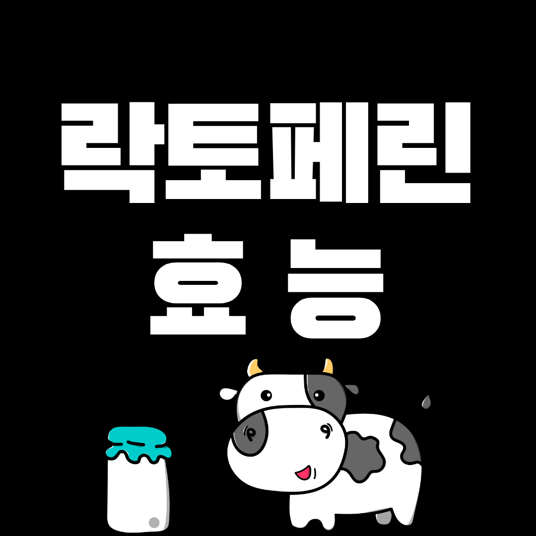 락토페린 효능 9가지