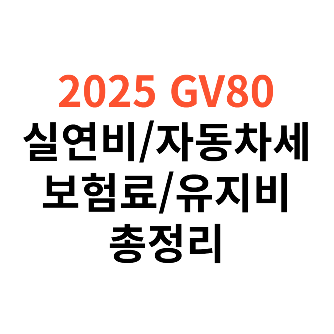 GV80 차량