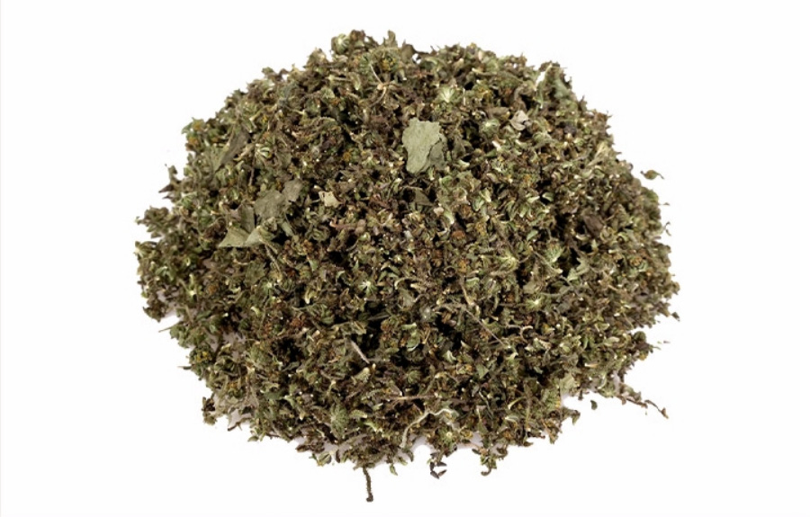 야생에서 채취를 한 희첨초의 꽃과 잎을 잘 세척한 후에 바싹 말린 것을 하얀 바닥 위에 수북하게 쌓아두고 찍은 사진