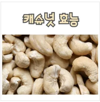캐슈넛 효능 부작용 섭취량_18