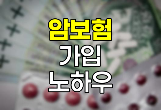 암보험 가입 비교 핵심 노하우