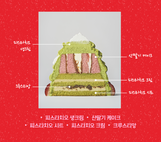 노티드 크리스마스 케이크 사전예약