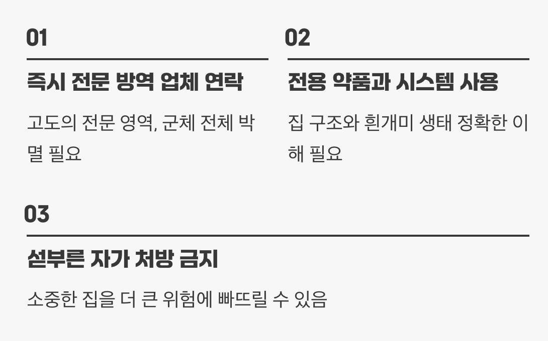 발견했다면? 절대 금물과 올바른 대처법