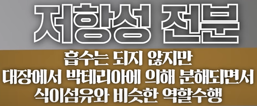 저항성 전분 설명