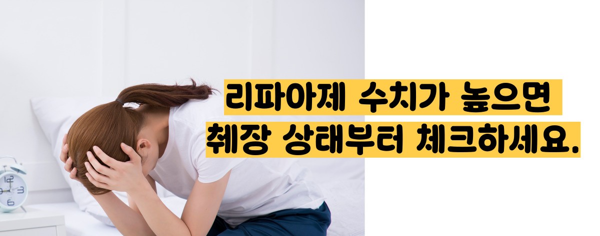 췌장 수치가 올라가는경우