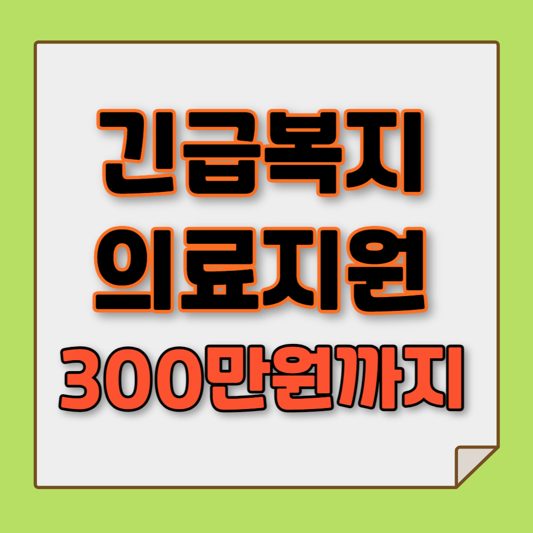 긴급복지 의료지원