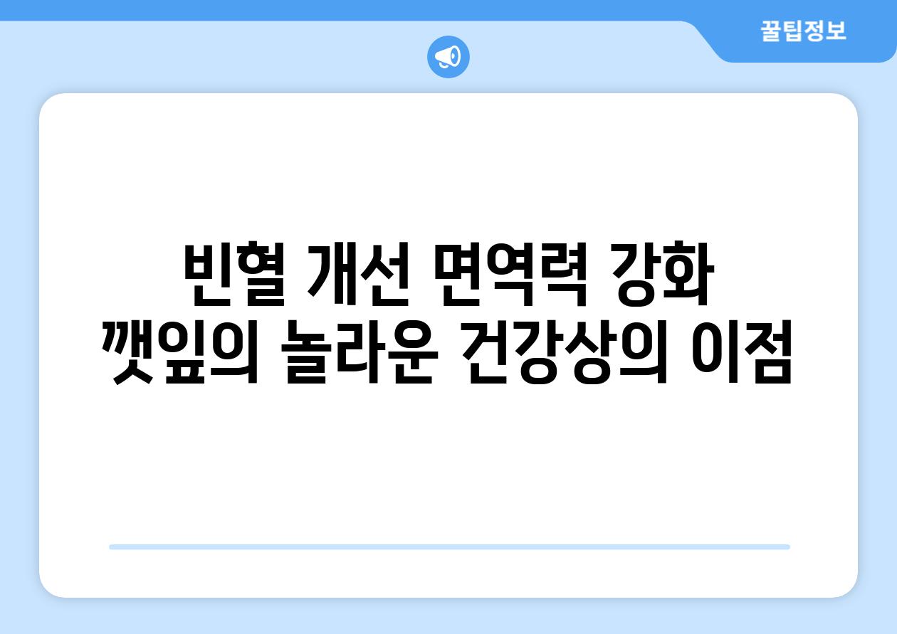 빈혈 개선 면역력 강화 깻잎의 놀라운 건강상의 이점