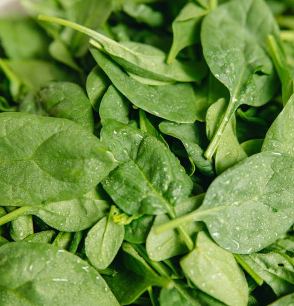 안구건조증에 좋은 음식 10가지