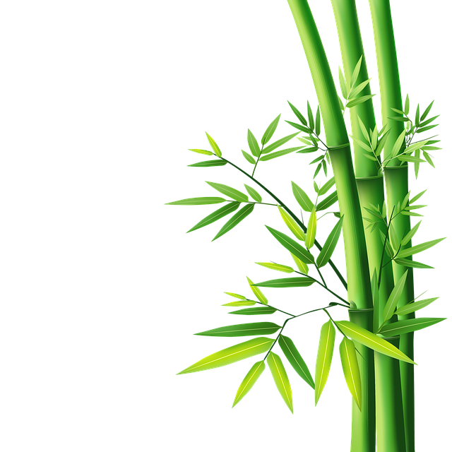 동양의 지혜, 모소대나무의 교훈 (성장, 인내, 지속)