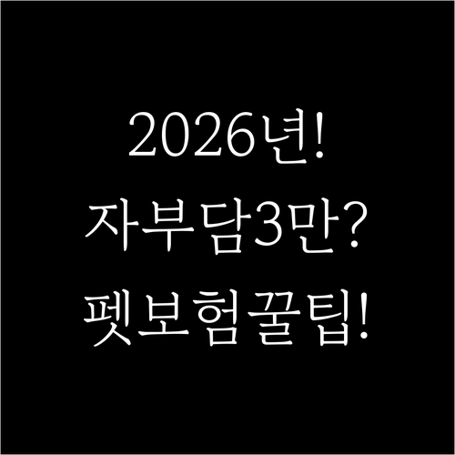 2026년 달라진 펫보험 자기부담금 ..