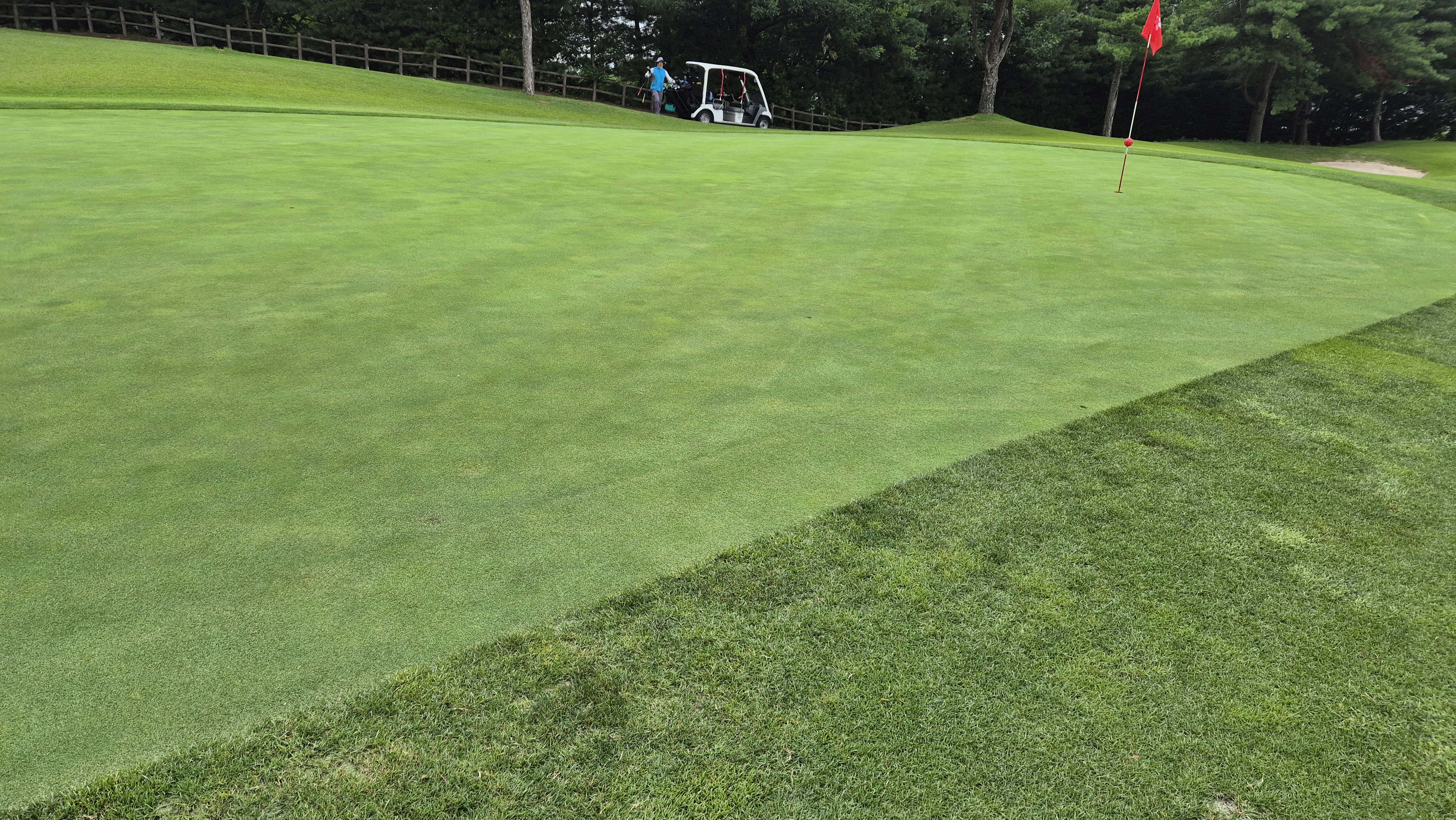 뉴스프링빌cc 라운드 후기