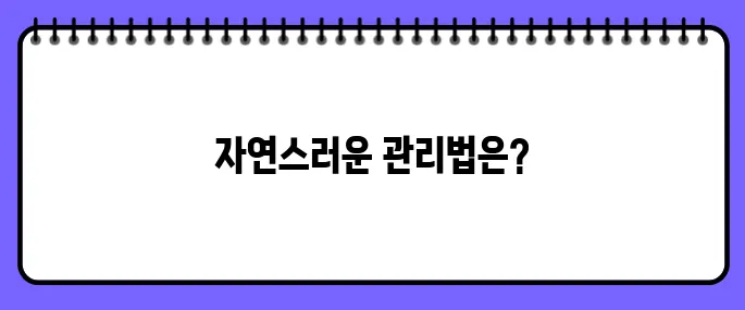 티눈 없애는 방법