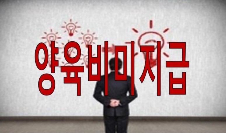 배드파더스 양해들 대표 양육비 유죄