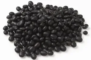 검은콩