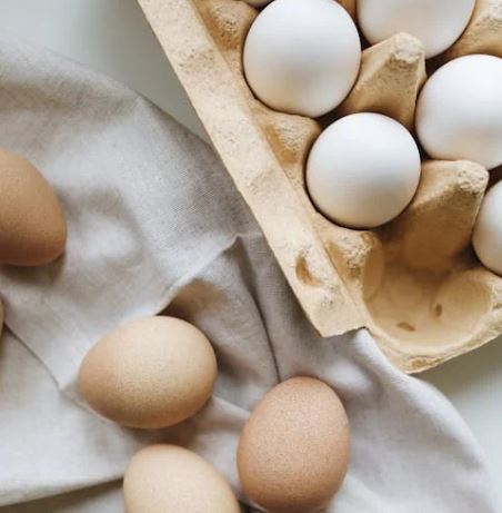 갱년기에 좋은 음식