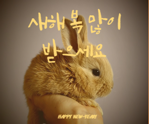 새해인사