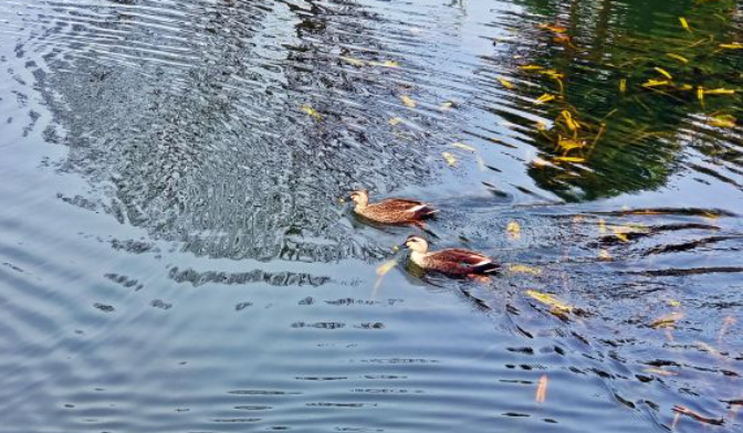 1월 충청북도 가볼만한곳 여행지 추천 ❘ 신년 새해 국내 겨울 나들이 ❘ 충청도 명소 ❘ 가족 실내 데이트