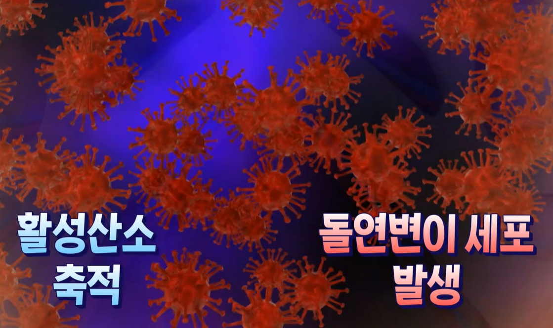 저분자 발효효소 효능