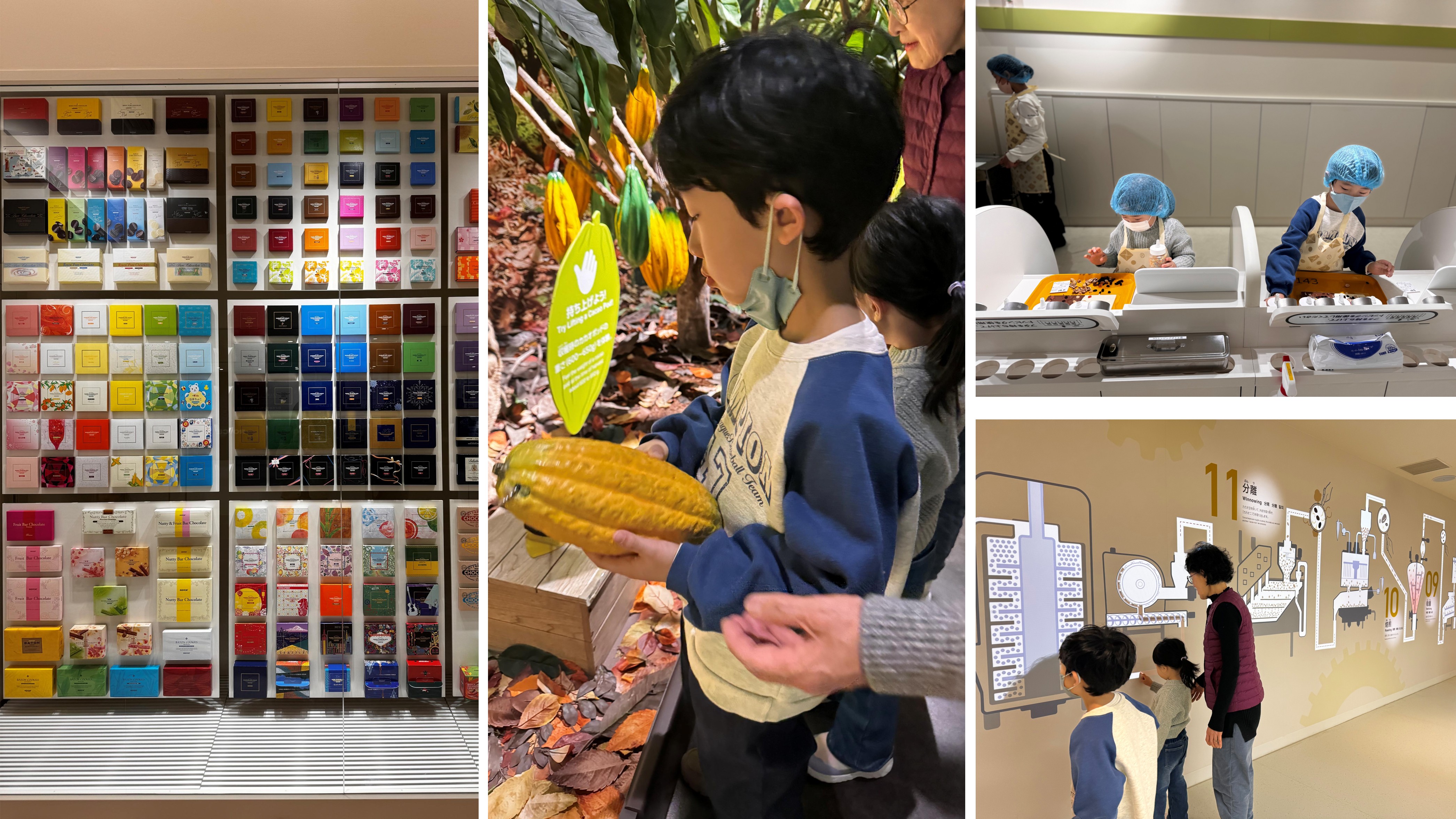 로이즈 초콜릿 공장에 다양한 체험을 하는 아이들