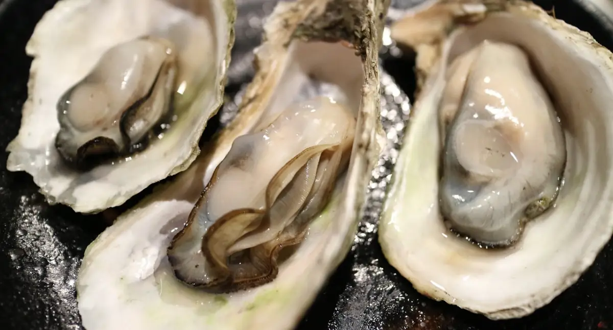 굴-제철-시기