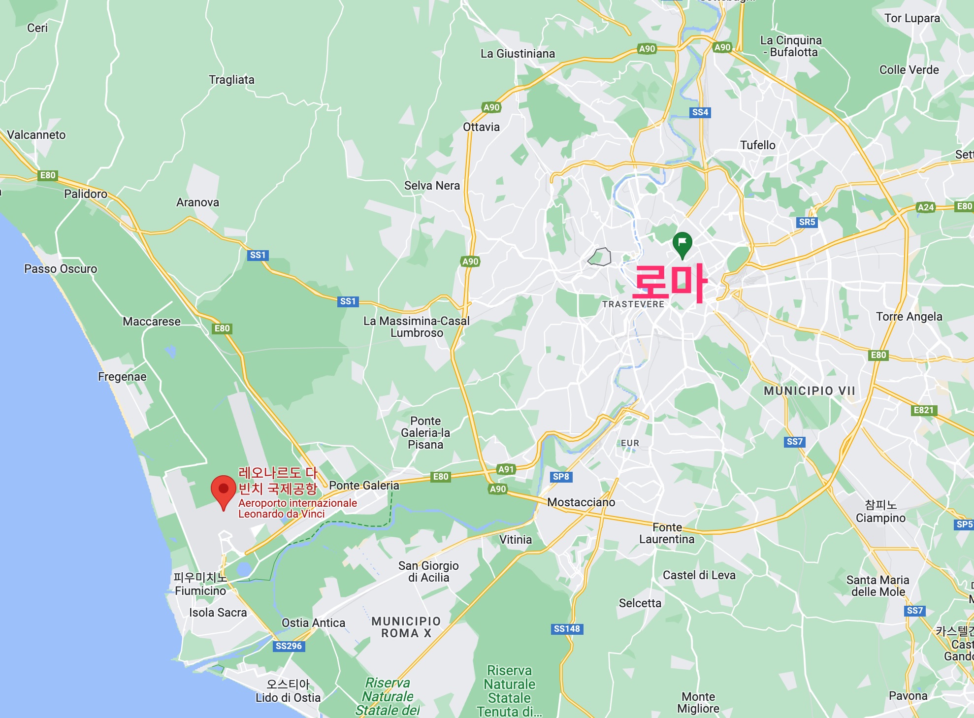 레오나르도 다 빈치 국제공항