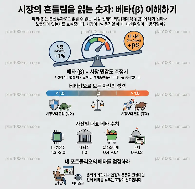 베타 이해하기 인포그래픽