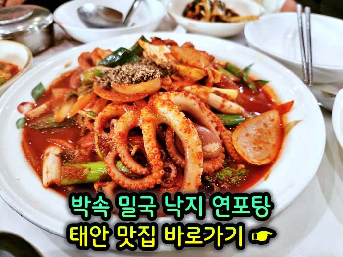 생방송 투데이 충남 태안 낙지 한상 박속밀국낙지탕 맛집