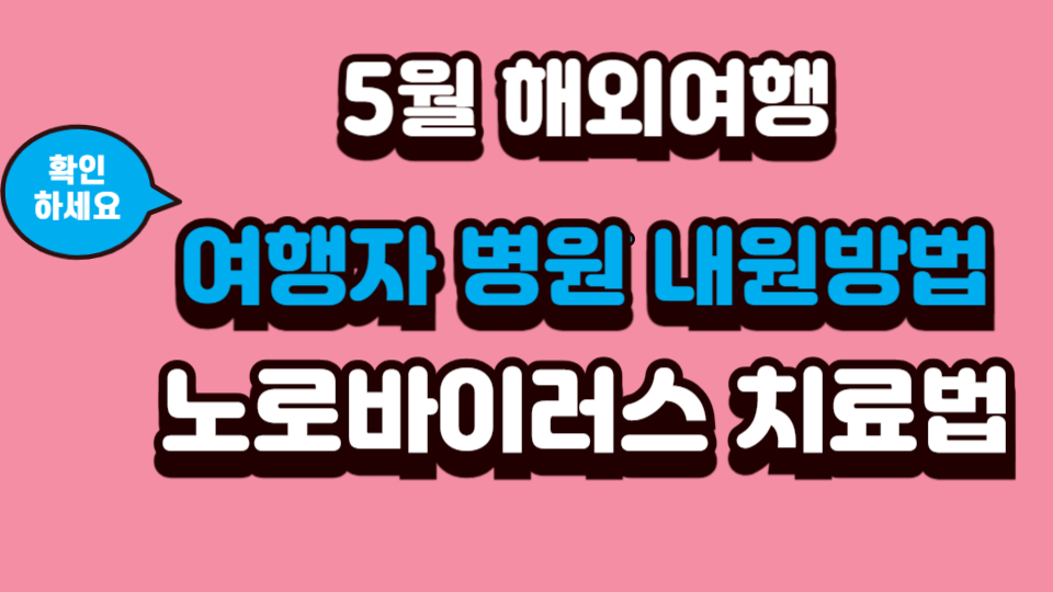 5월 해외여행 여행자 병원 내원방법과 노로바이러스 치료법