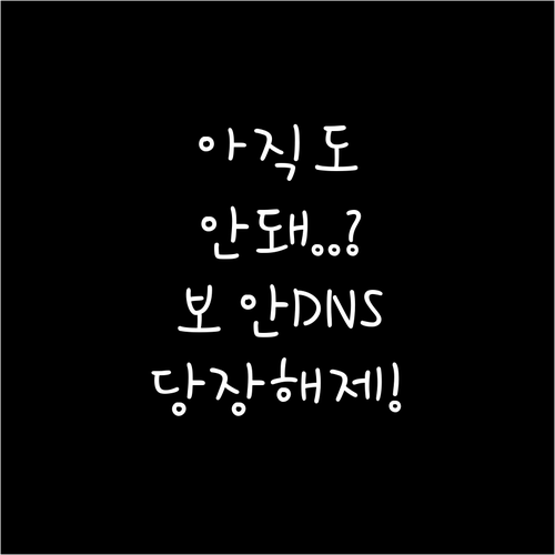 인터넷 차단 우회 실패 시 브라우저 ..