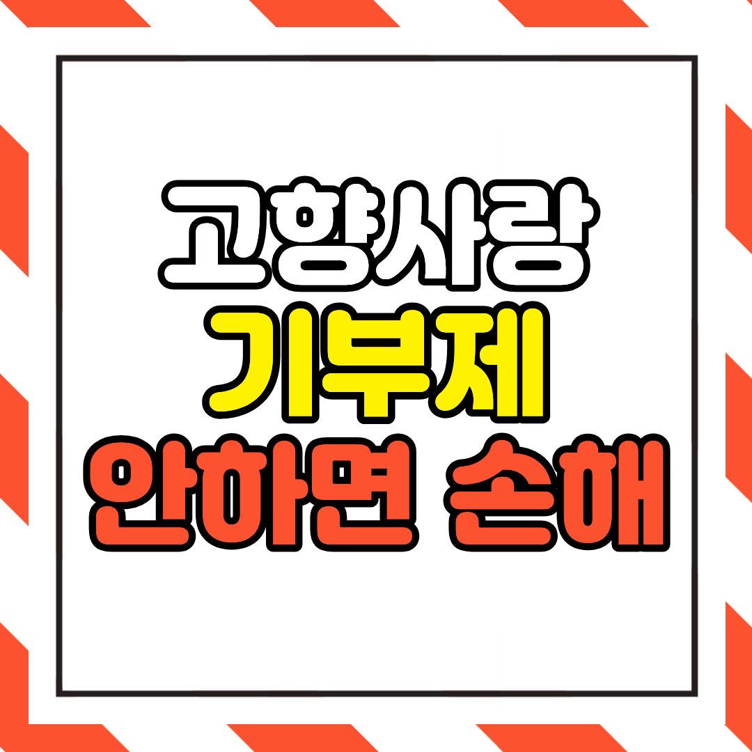 고향사랑기부제 안 하면 손해인 이유