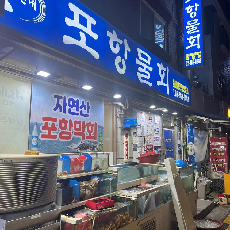 은평구 갈현동 물회 맛집, 포항물회