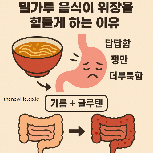 An infographic showing how flour-based foods with gluten and oil can cause stomach bloating, discomfort, and digestive issues, illustrated with sad stomach and intestines icons./글루텐과 기름이 들어간 밀가루 음식이 속을 더부룩하게 하고, 위장과 장에 불편함을 유발하는 과정을 나타낸 인포그래픽
