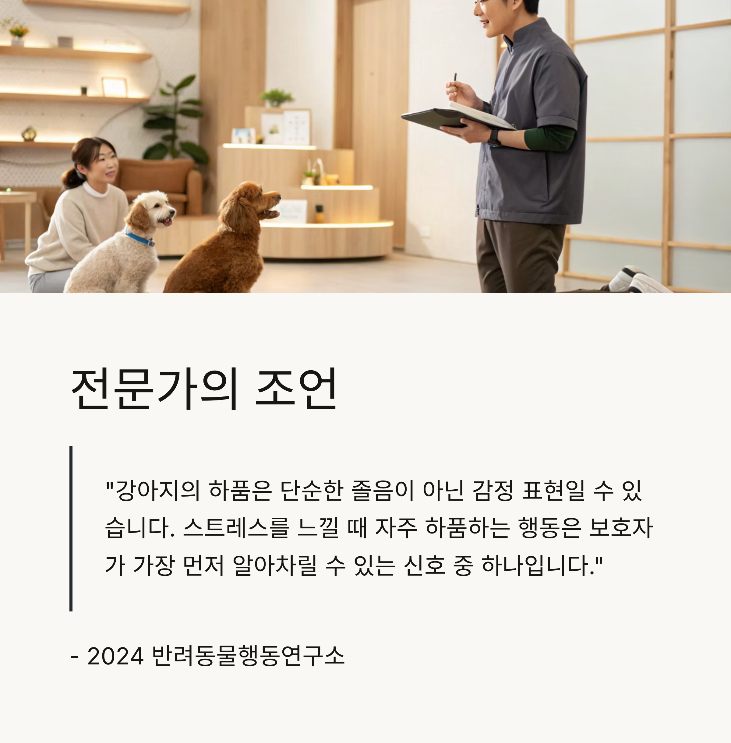 전문가의 조언