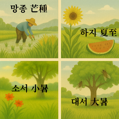 망종 (芒種), 하지 (夏至), 소서 (小暑), 대서 (大暑)의 시각적 이미지