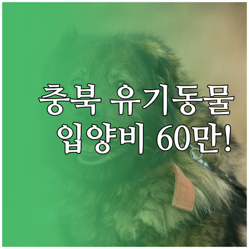 충청북도 유기동물 입양 시 수술비 의..