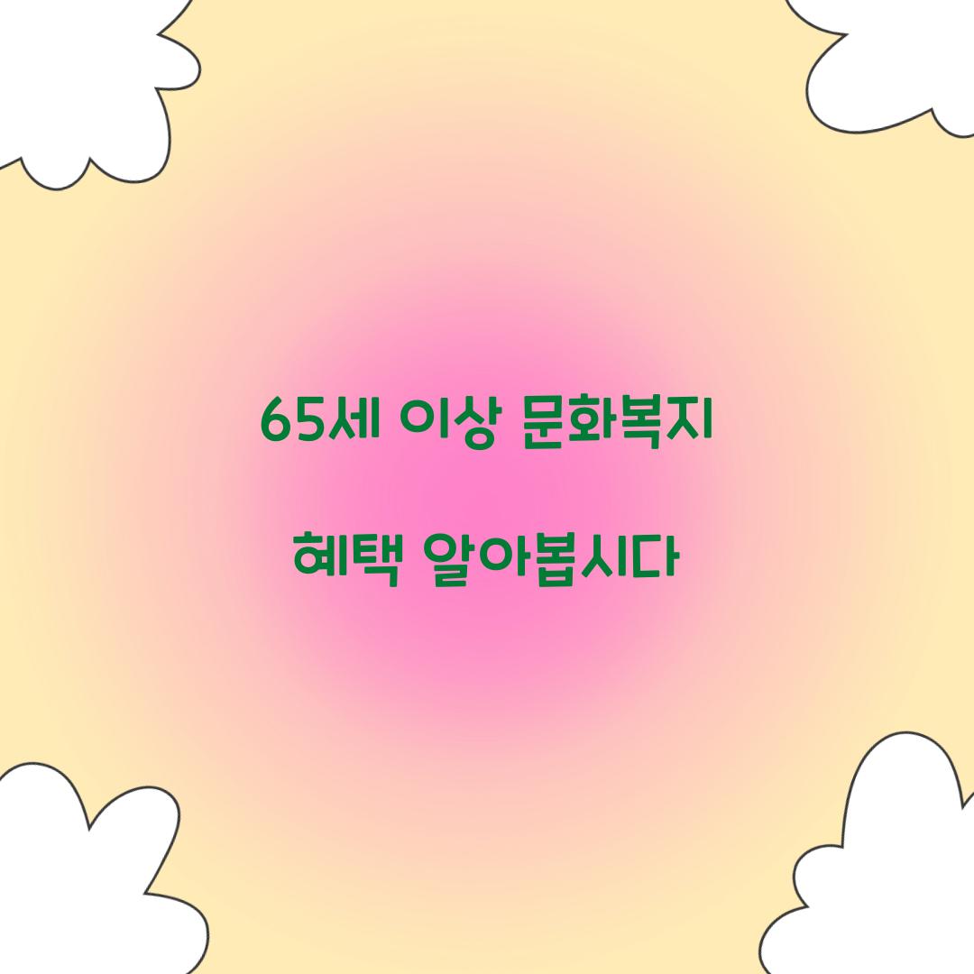 65세 이상 문화복지