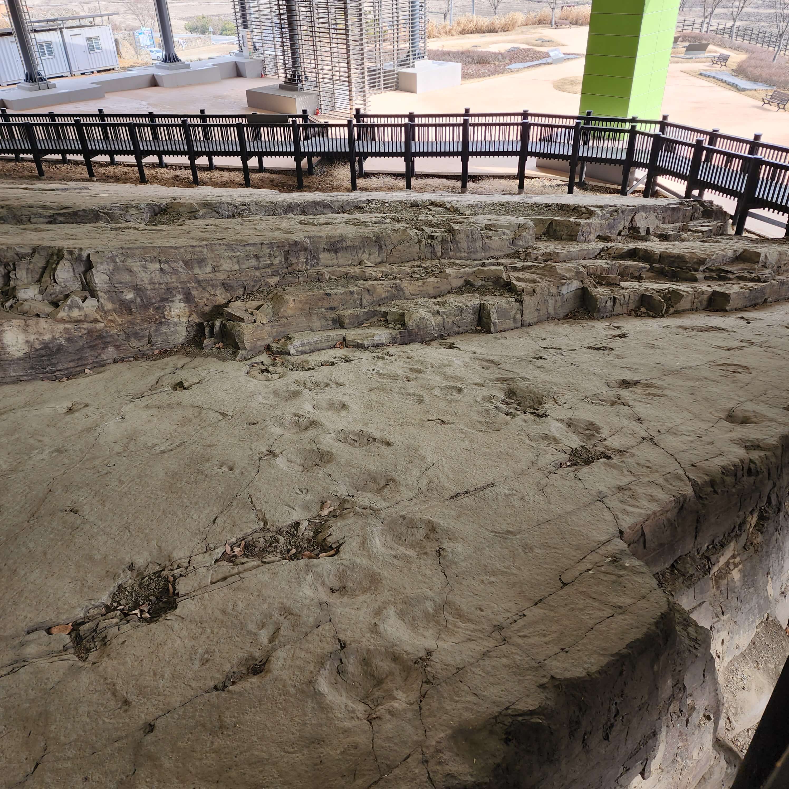 화순 서유리 공룡발자국 화석산지