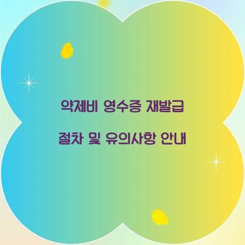 약제비 영수증 재발급