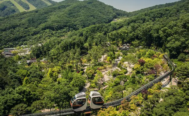 2026 화담숲 봄시즌 예약방법 시즌 기간 모노레일 입장료 꿀팁 정리