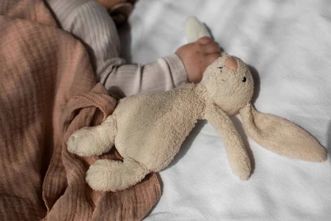 <a href="https://kr.freepik.com/free-photo/top-view-cute-baby-with-stuffed-animal_49635744.htm#fromView=search&page=1&position=52&uuid=19877013-97ad-4fcd-b383-56ed39367555">출처 freepik</a>