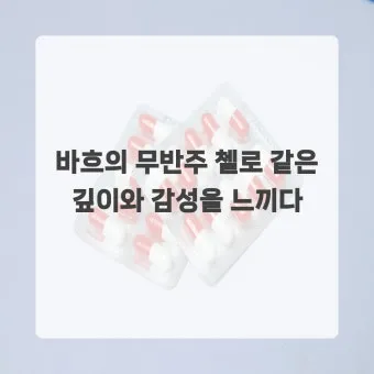 바흐의 무반주 첼로 모음곡: 단순함 속의 깊이를 탐구한다 연주 해설 분석_12