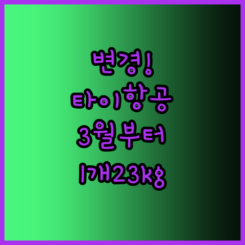 2026년 3월부터 타이항공 위탁수하..