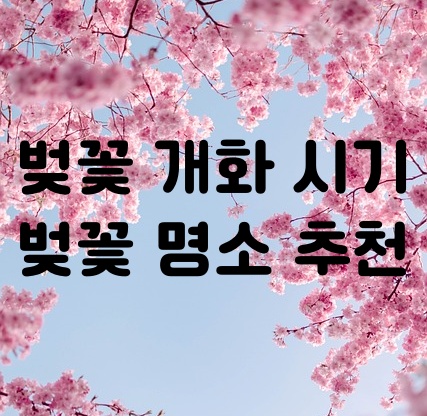 벚꽃 개화 시기