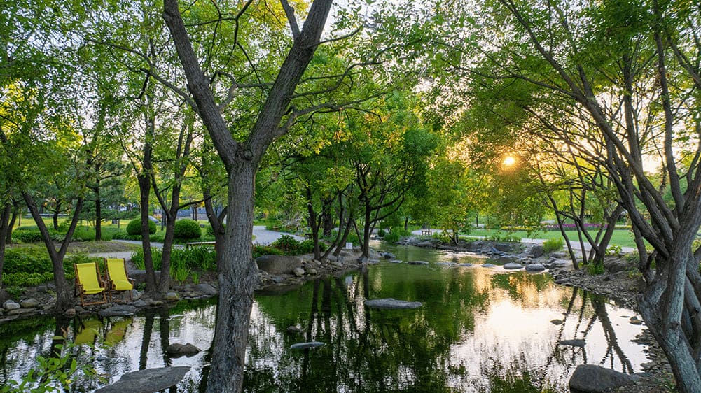 순천만국가정원